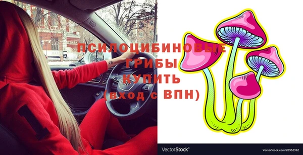 соль курить ск Алзамай