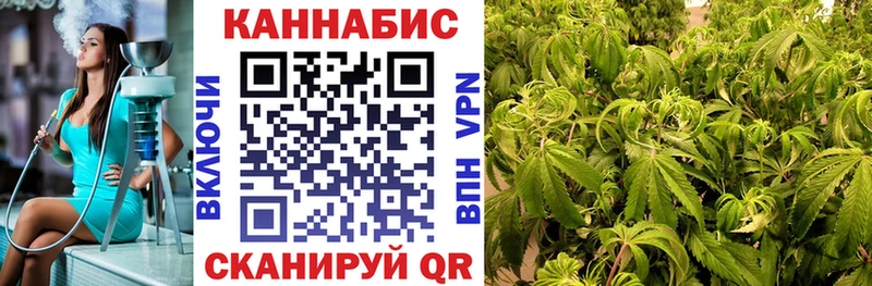 где купить   Алатырь  Канабис OG Kush 